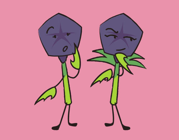 Character Asset